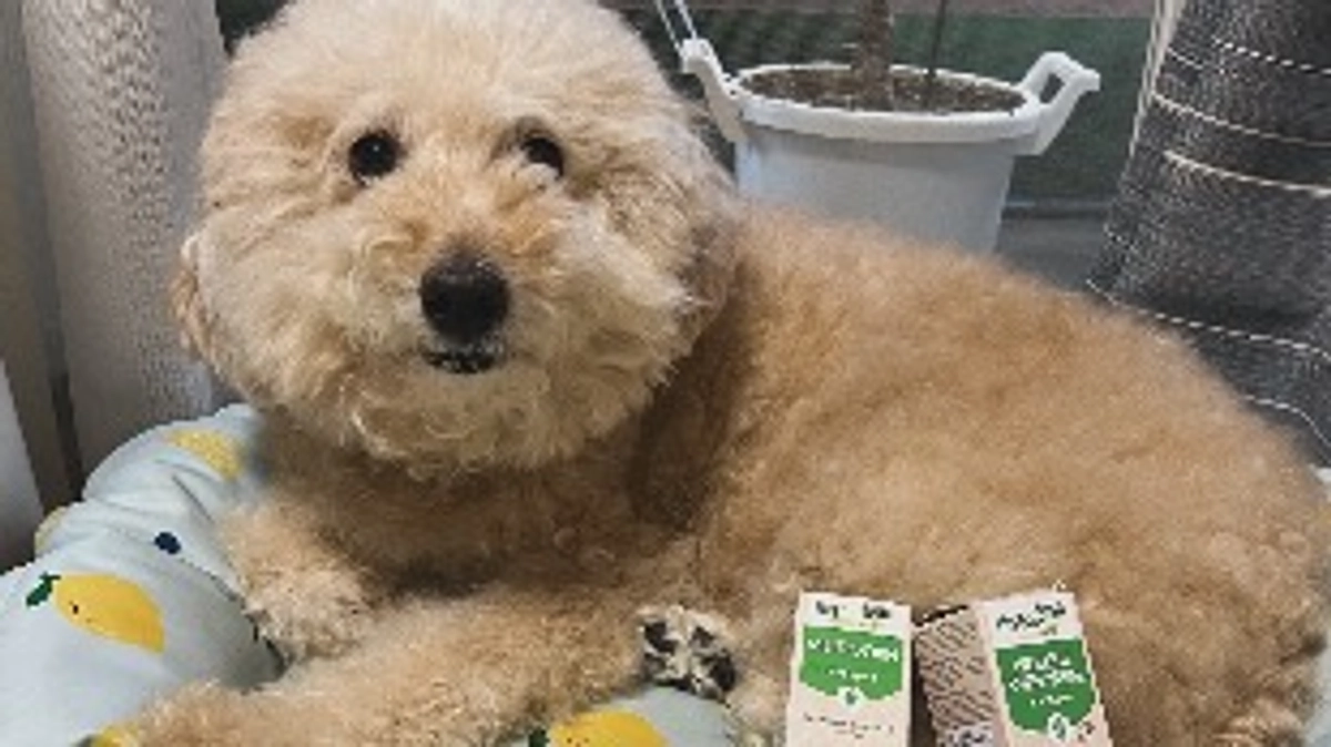 達成率10%到達しました✨️ありがとうございます😭