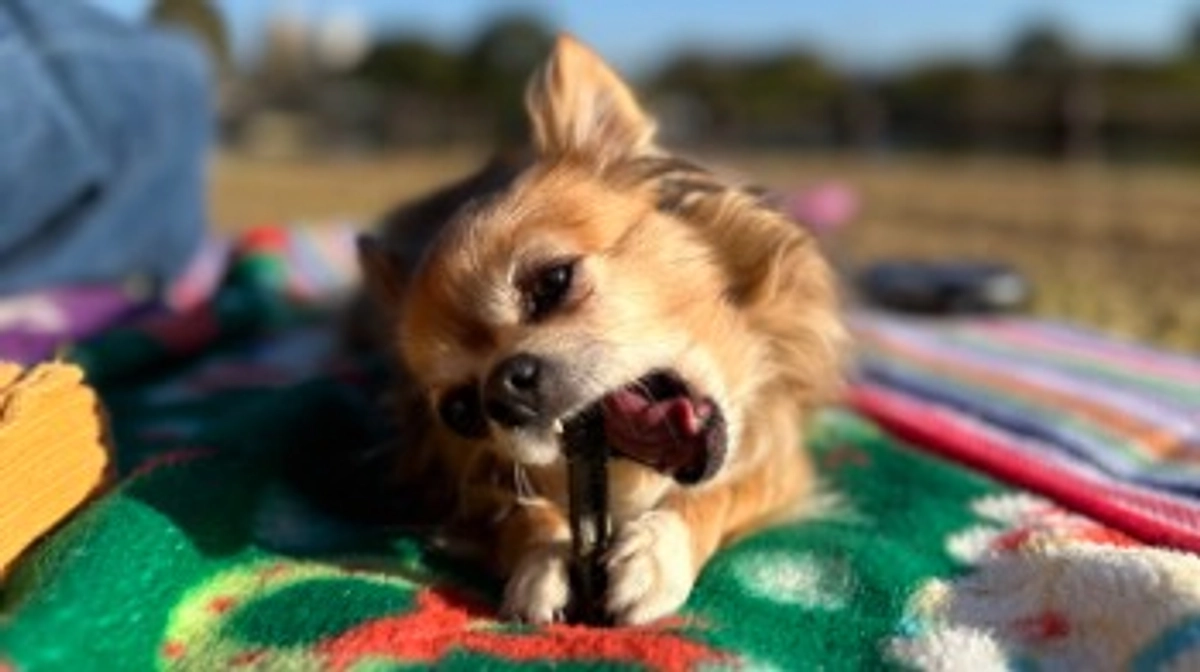 クラファン開始から6/29までのご支援者様(代理支援)【活動報告15日目】