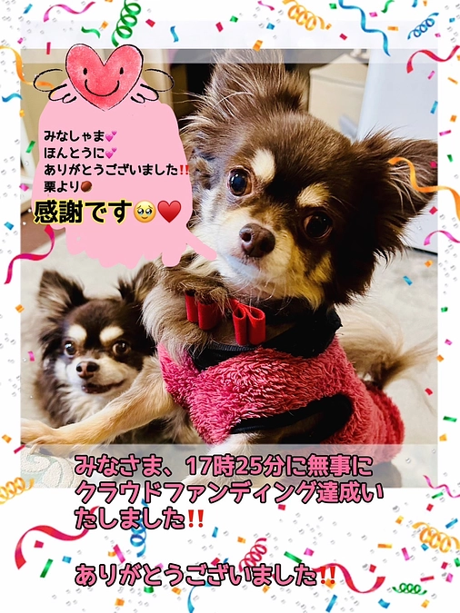 ご報告 ❤︎ 皆様のお陰でクラウドファウンディング達成する事ができました！！！
