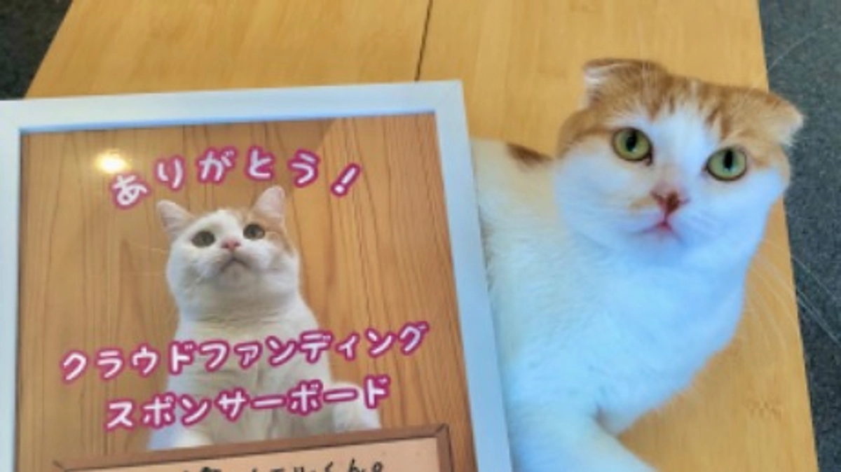 返礼品発送完了について