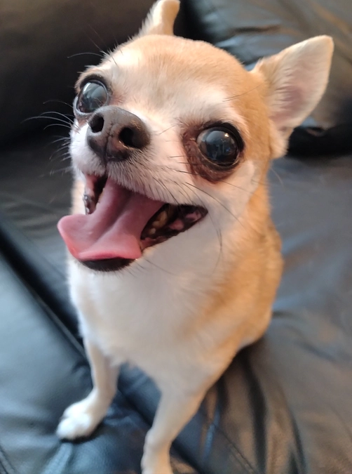 5/21　手術日が決まりました