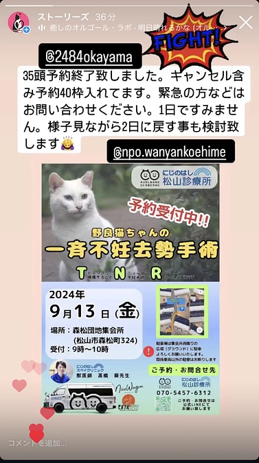 【予約終了のお知らせ】9月13日の一斉TNR〜松山市では、8月より地域猫支援事業が始まっています〜