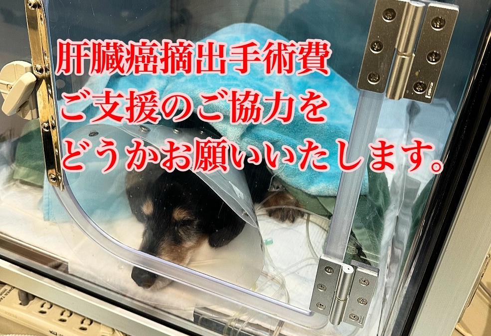 皆様へ再びお願いがあります。