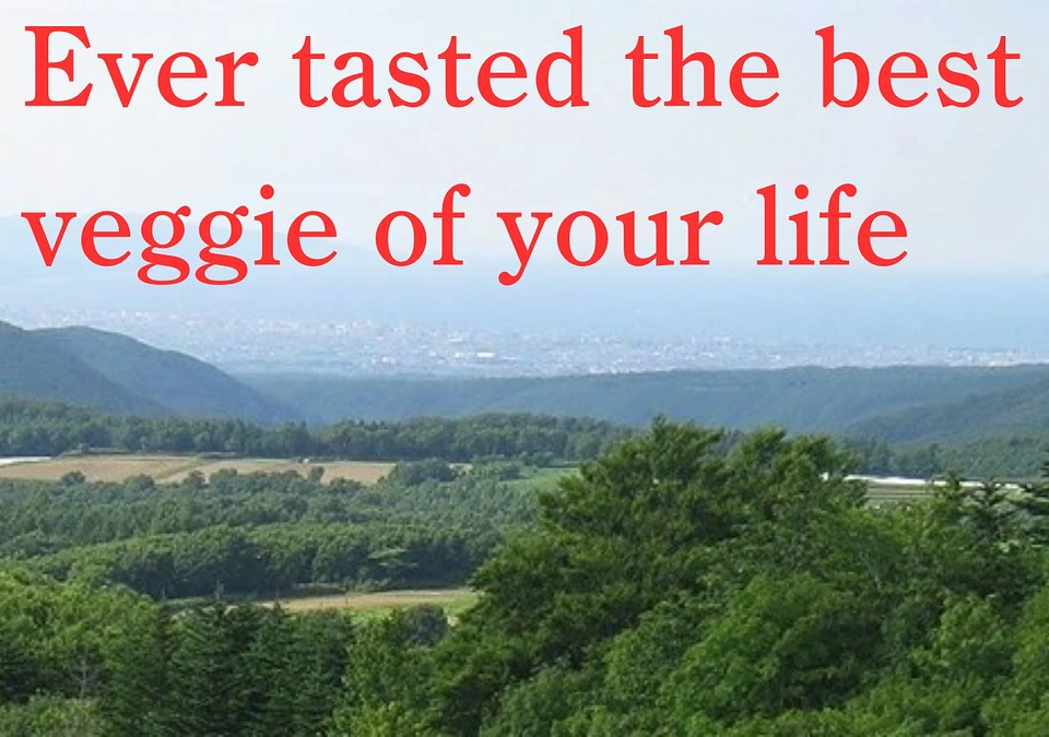 Auto camp village opens in Okiyohira