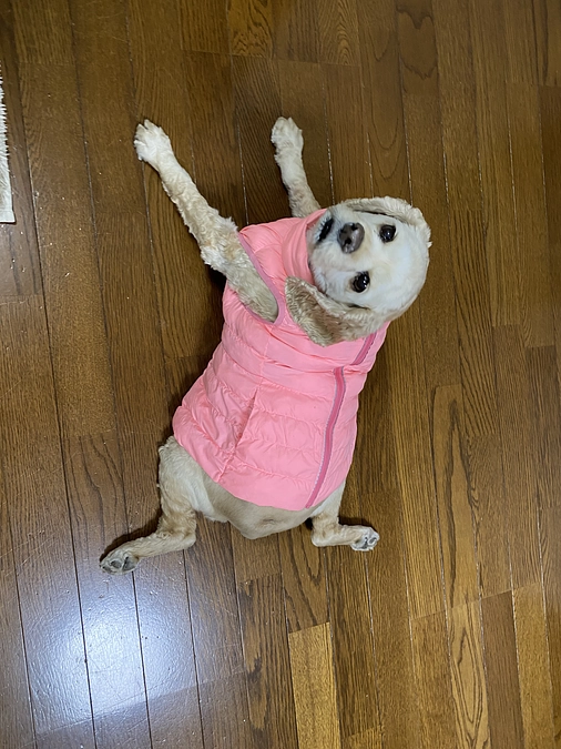 目標額70万円達成できました　皆様の多大なるご支援のおかげです　心より感謝します