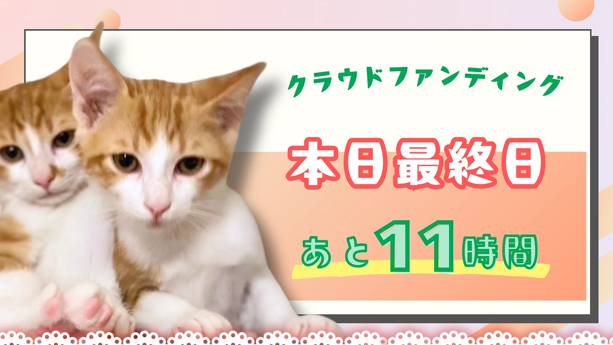 カウントダウン ＼終了まで残り11時間！／本日23時まで