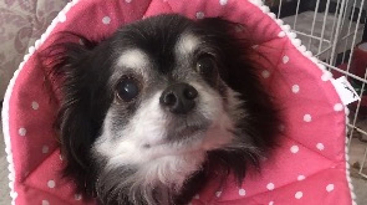 【残り8日】温かいご支援をしてくださった皆さまへ