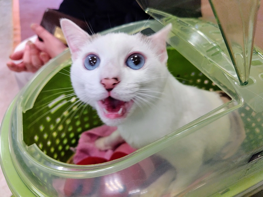 ごきげんななめの受診日🏥