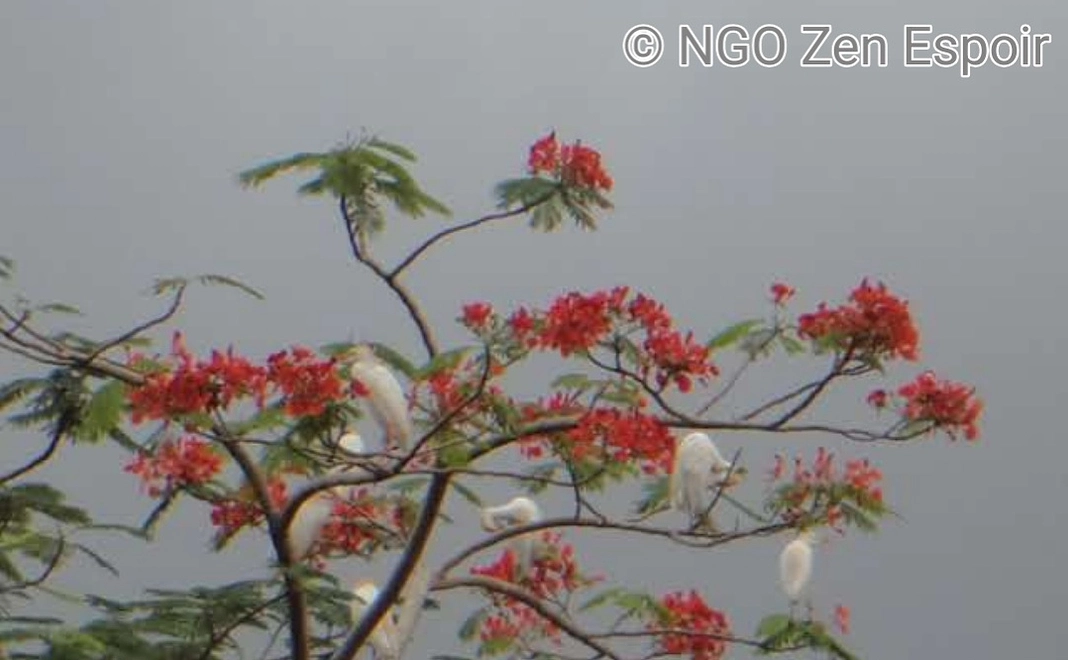 ありがとうございます