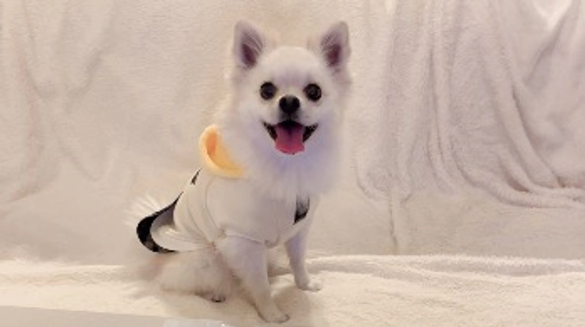 🆘🆘残り14時間🆘🆘