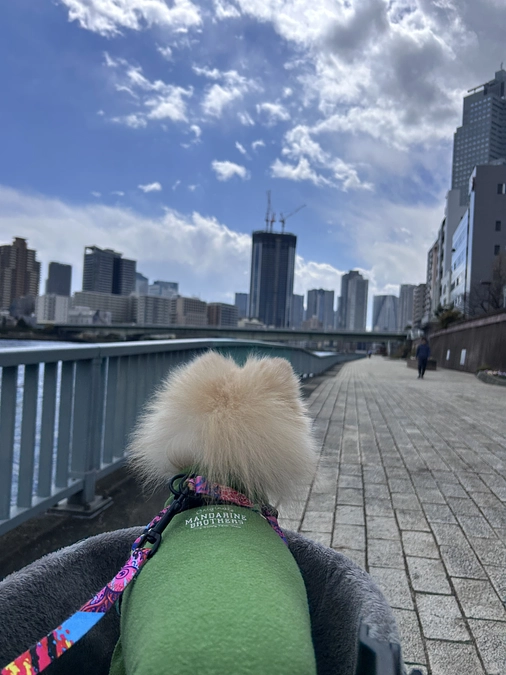 31/59 ☆ 春の家族団欒さんぽ