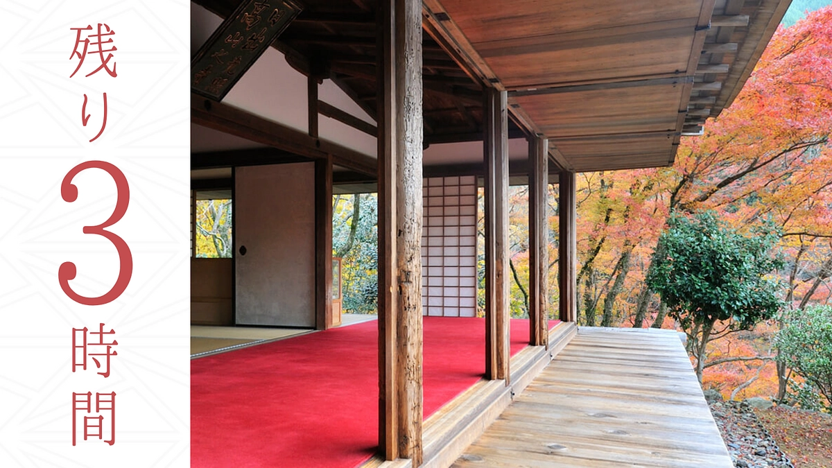 【残り3時間】高山寺の開祖・明恵上人について