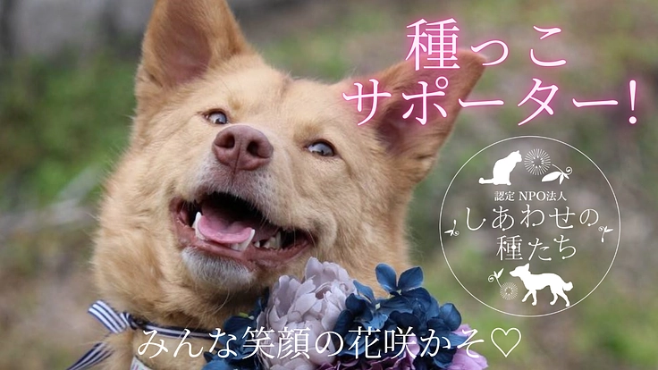 殺処分0へ!みんな笑顔の花咲かそ♡種っこサポーター募集!