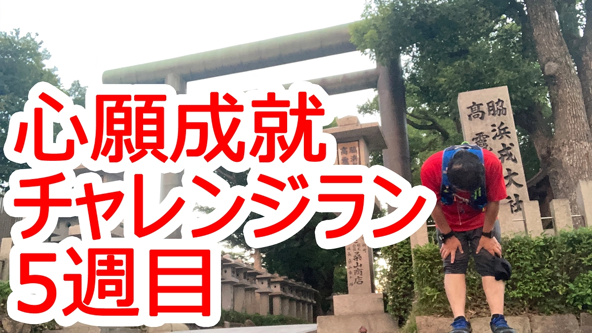 心願成就チャレンジ！356キロランと10キロダイエット(*^-^*)　5週目ご報告