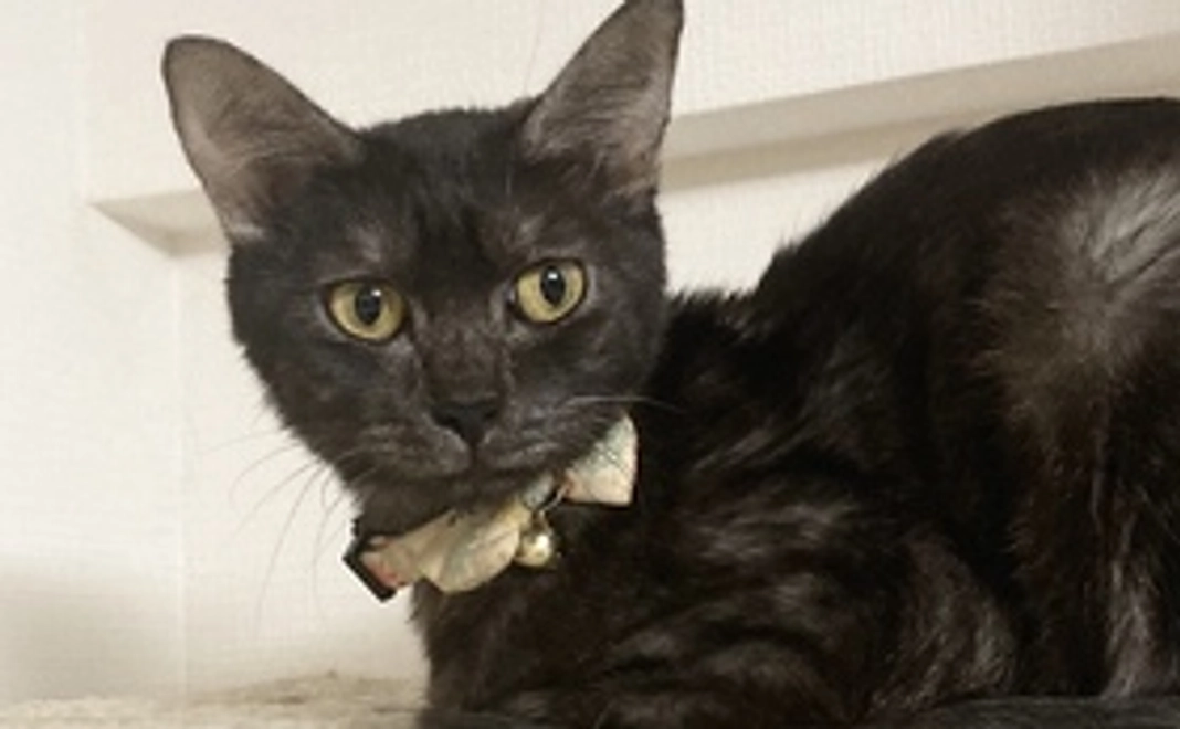 感謝のメール①