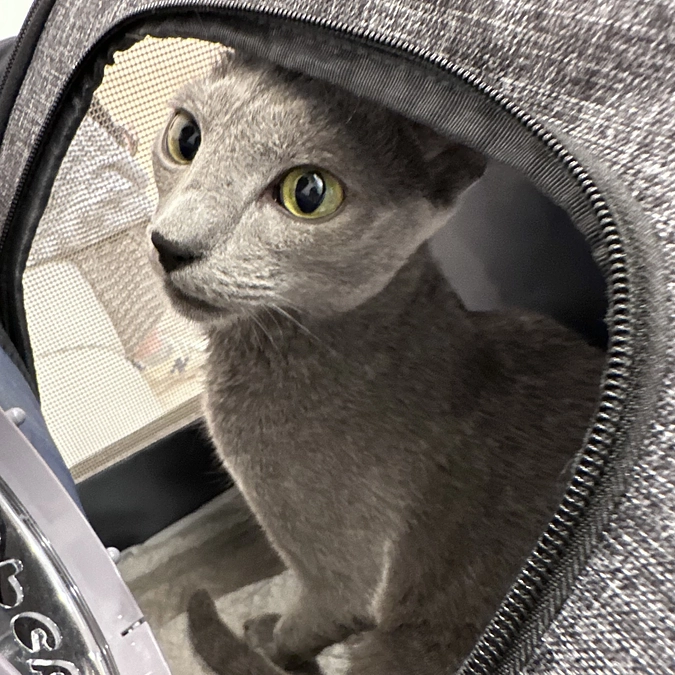 投薬53日目【通院の様子】