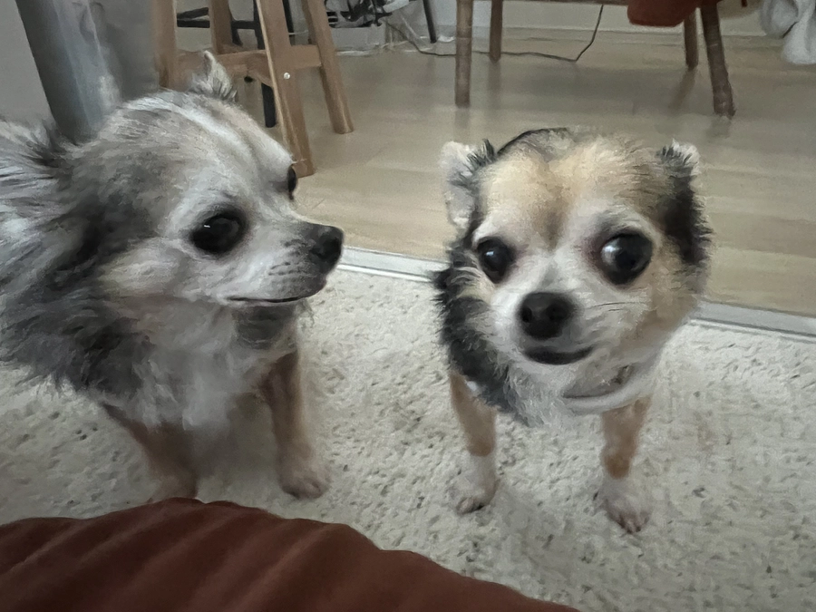 🙇🙇ららのプロジェクトが終了しました🙇🙇