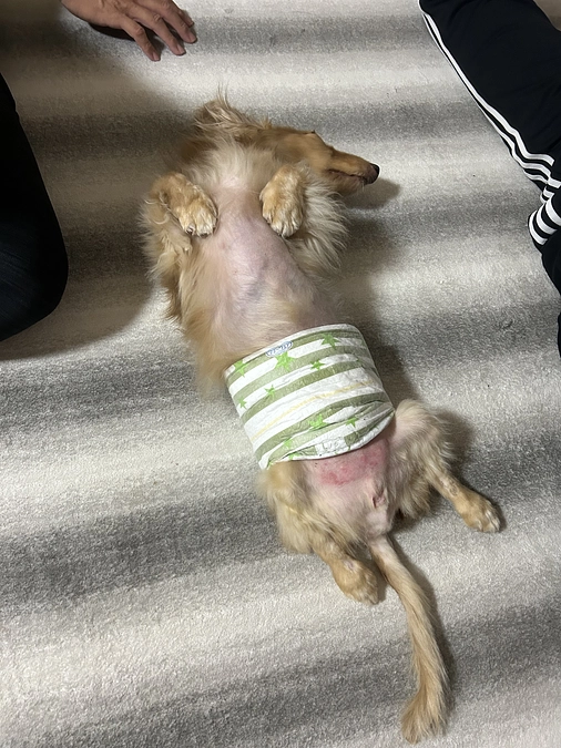 終了まであと4時間切りました