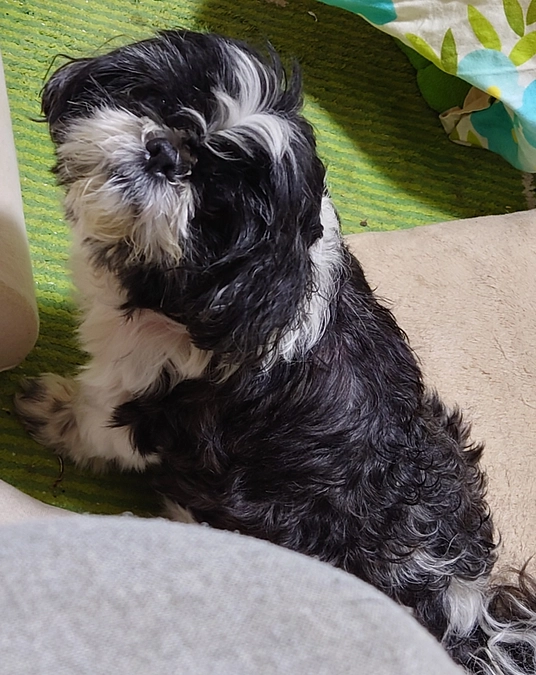 本日もたくさんのご支援頂きました。