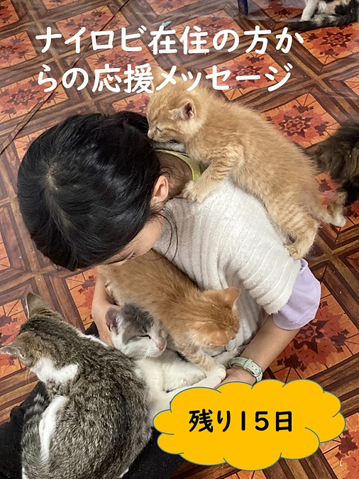 ナイロビ在住の親子さんから応援メッセージが届きました。