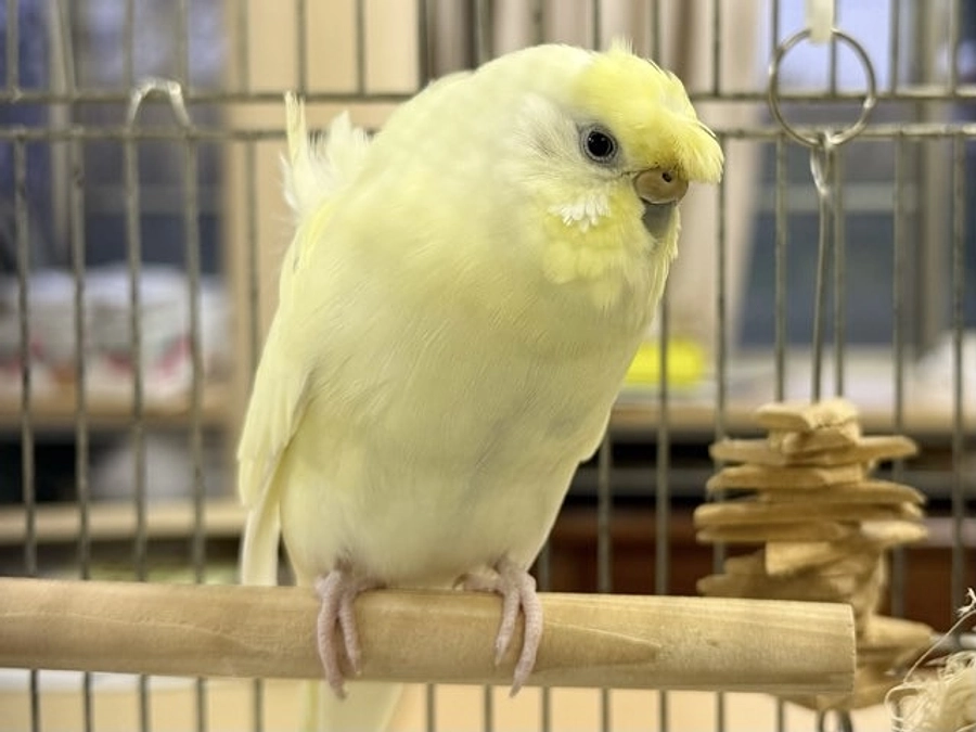 TSUBASAの取り組みについて