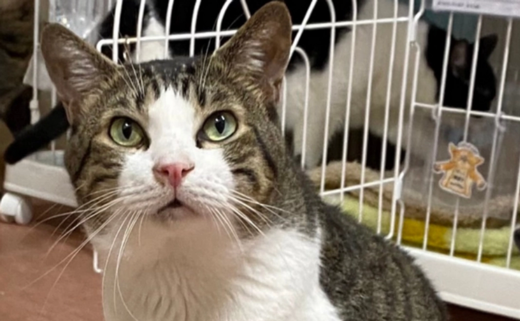 全力応援コース｜3千円