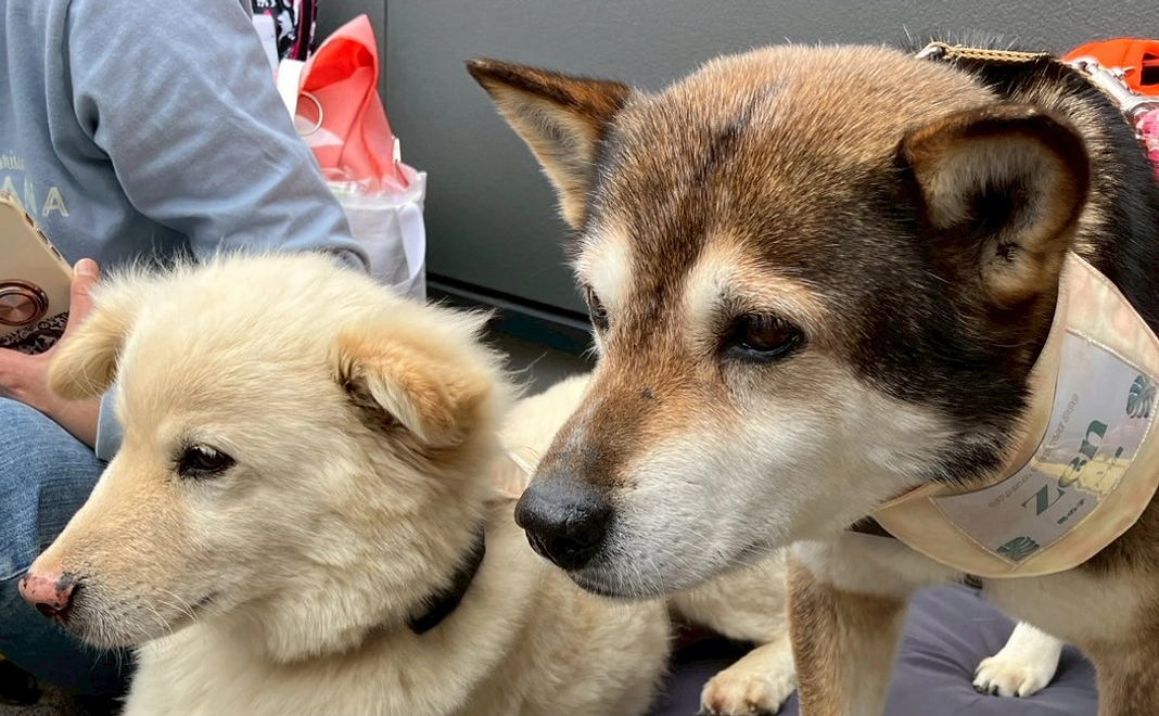 毎月3,000円｜応援コース