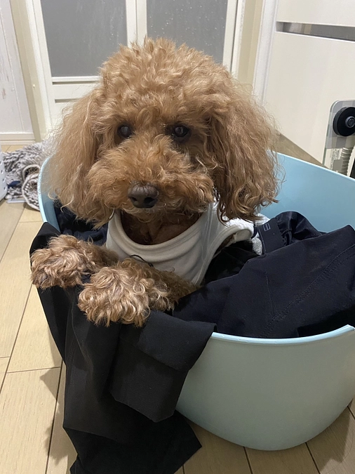 咳込みの回数が減りました。