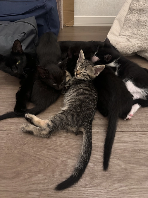 残りわずか！最後まで応援して下さった皆様へ。