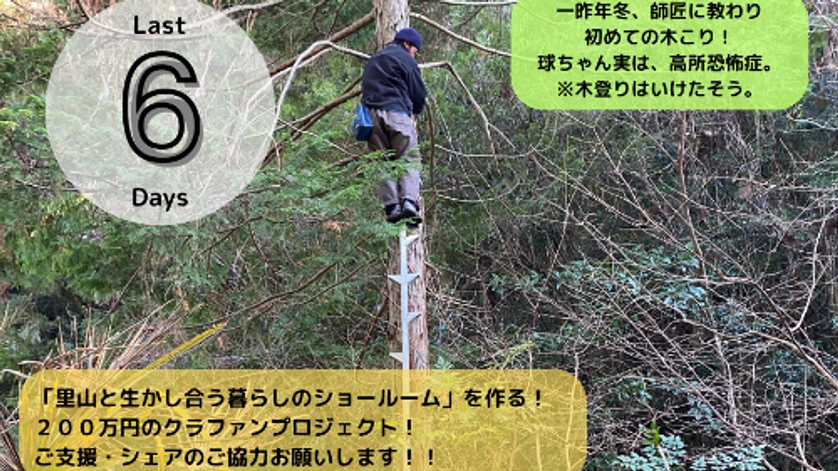 【応援メッセージをいただきました！！】