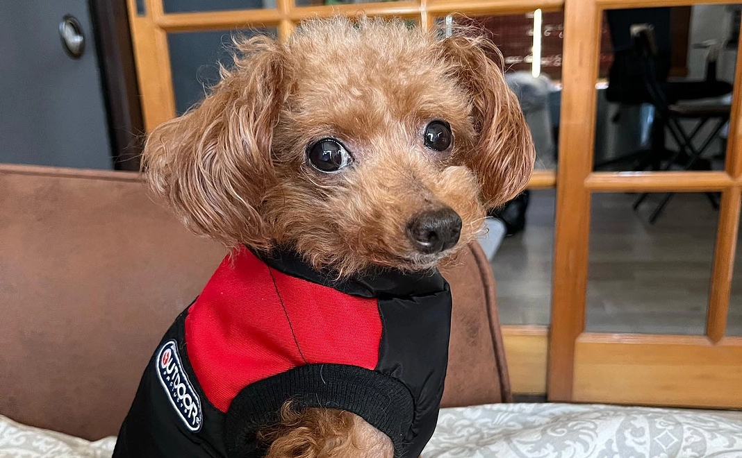 感謝のメール②