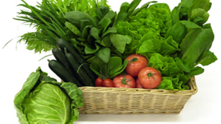 百年前の安全で健康な美味しい野菜をお届けします