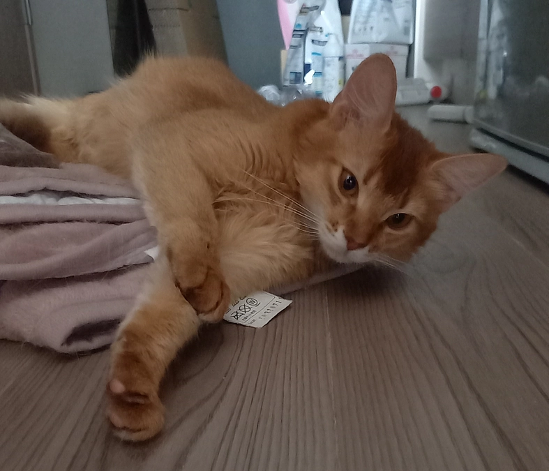 ★2023年11月23日：投薬65日目★