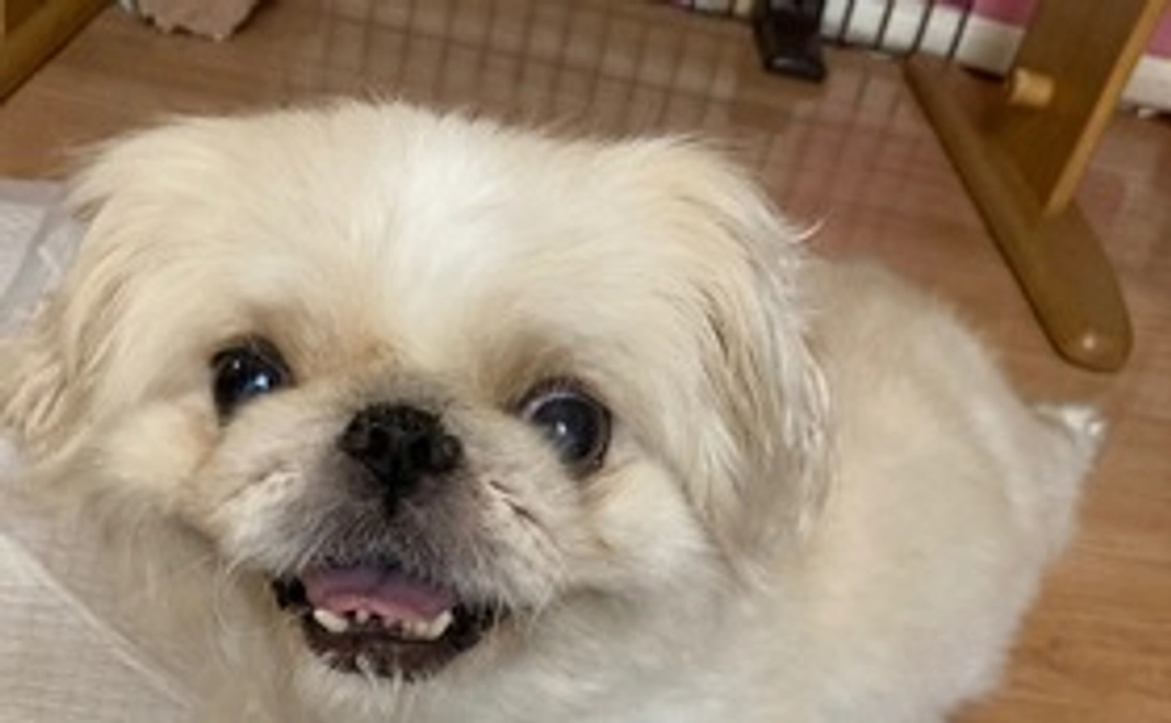 くう応援コース①