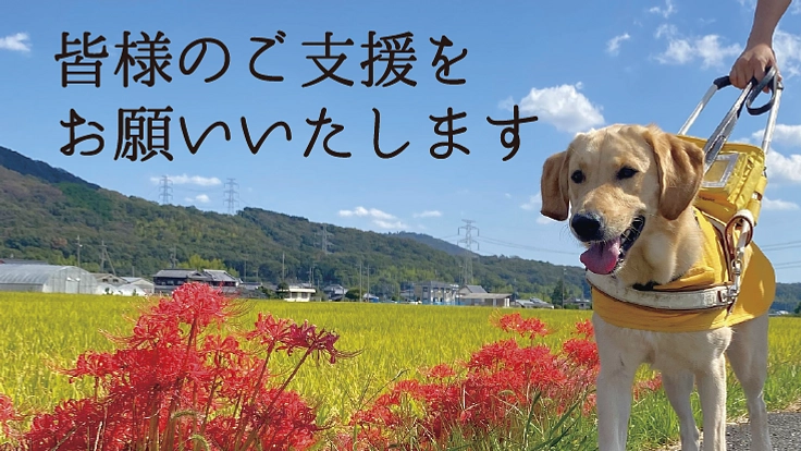 兵庫盲導犬協会|視覚障がい者のパートナー、盲導犬の育成費にご支援を 6枚目