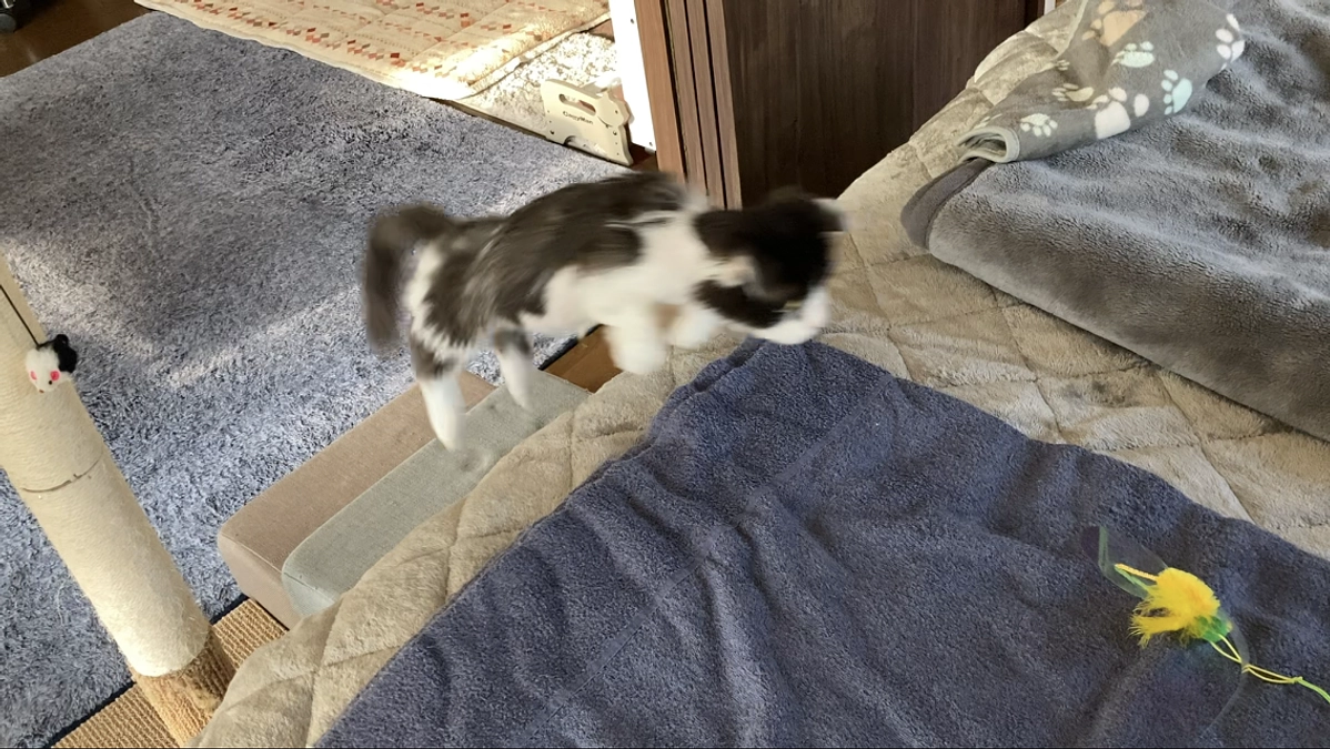 11/23のテオくんの様子