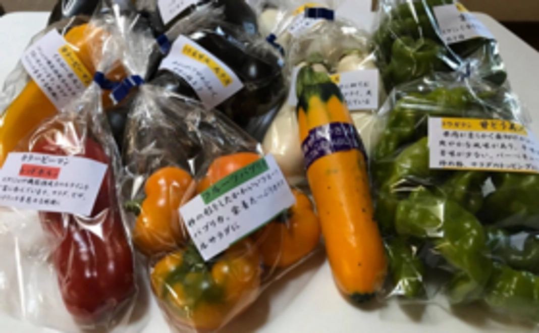 岡山県産の夏野菜の詰め合わせ
