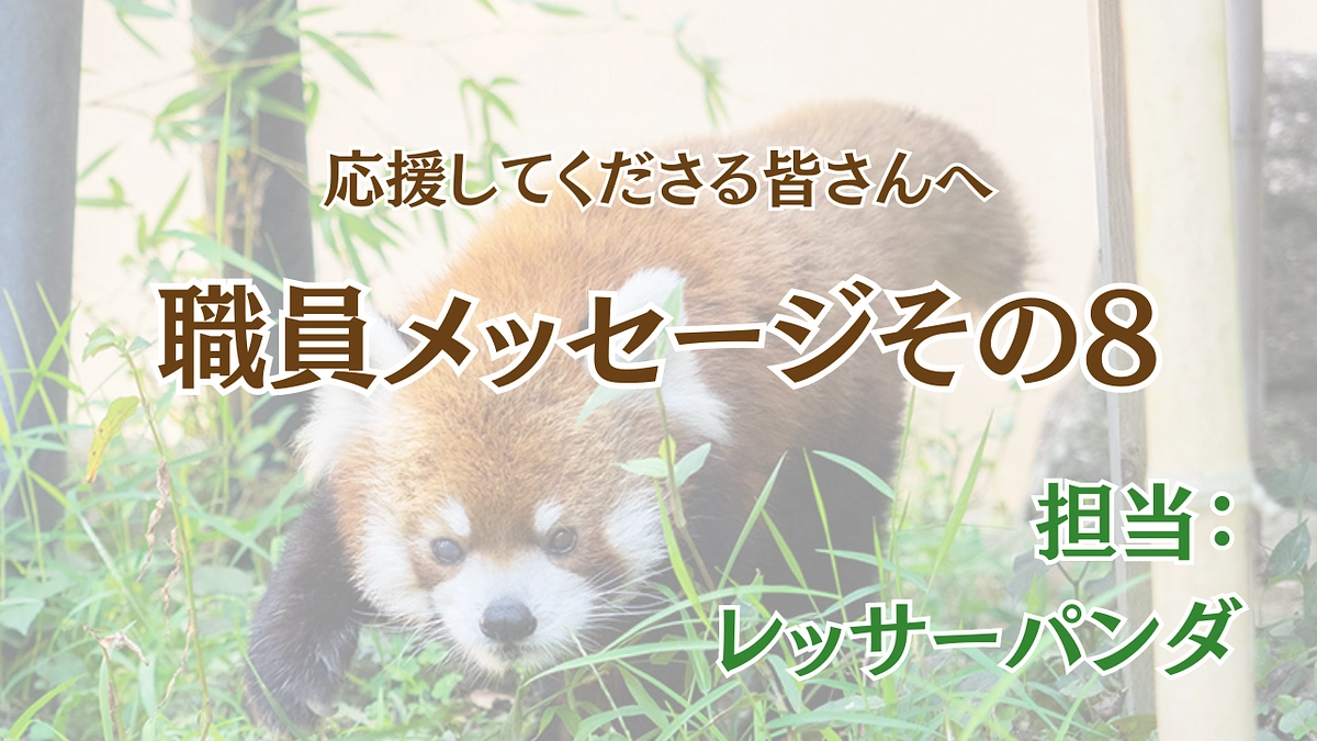 未来へ紡ぐゴリラプロジェクト〜職員から皆様へのメッセージ⑧〜