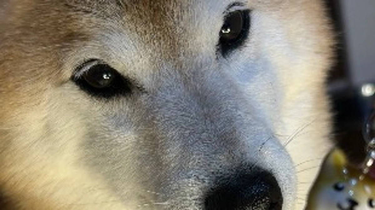 ‼️残り13時間‼️