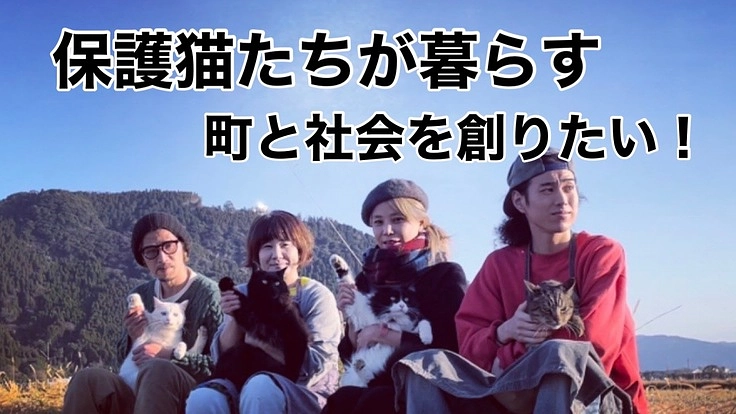 地域猫問題の解決を図りたい★保護猫たちが暮らす町と社会を創りたい！