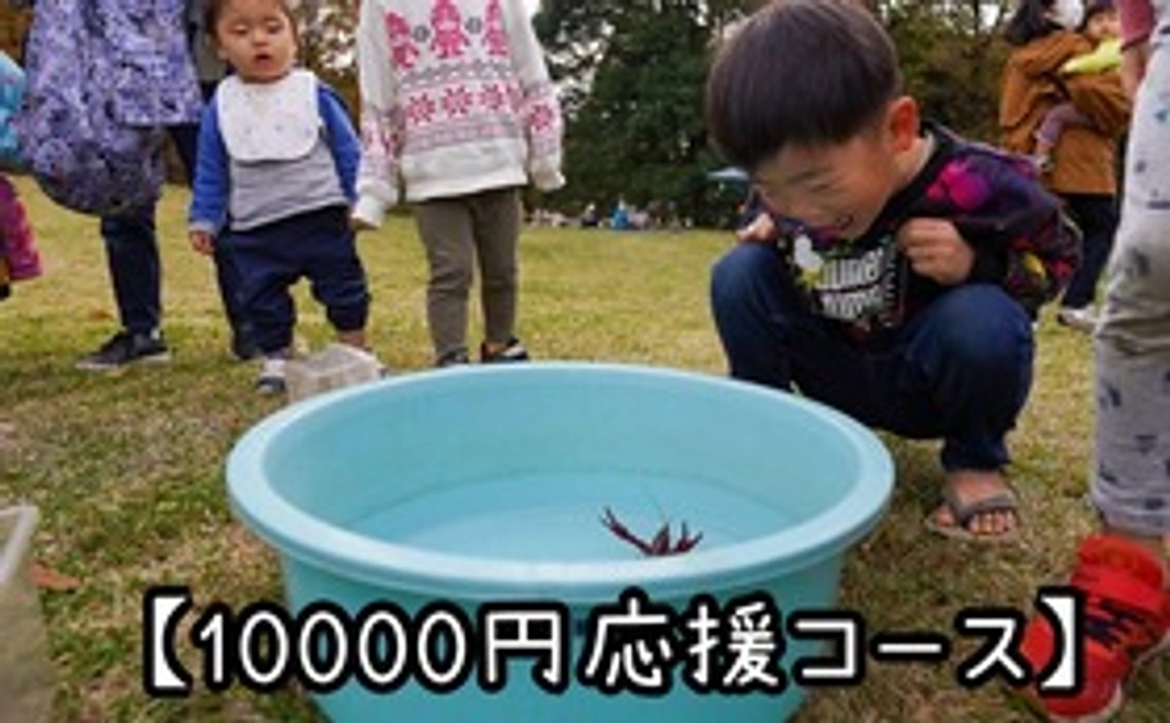 【10000円応援コース】サンクスレター