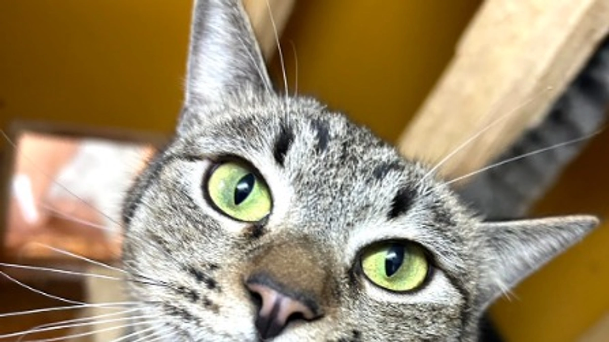 【メディア様掲載】本日毎日新聞（WEB版）に掲載いただきました！