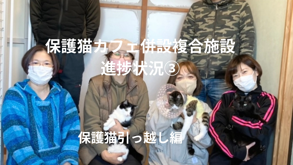 保護猫カフェ併設型複合施設進捗状況③