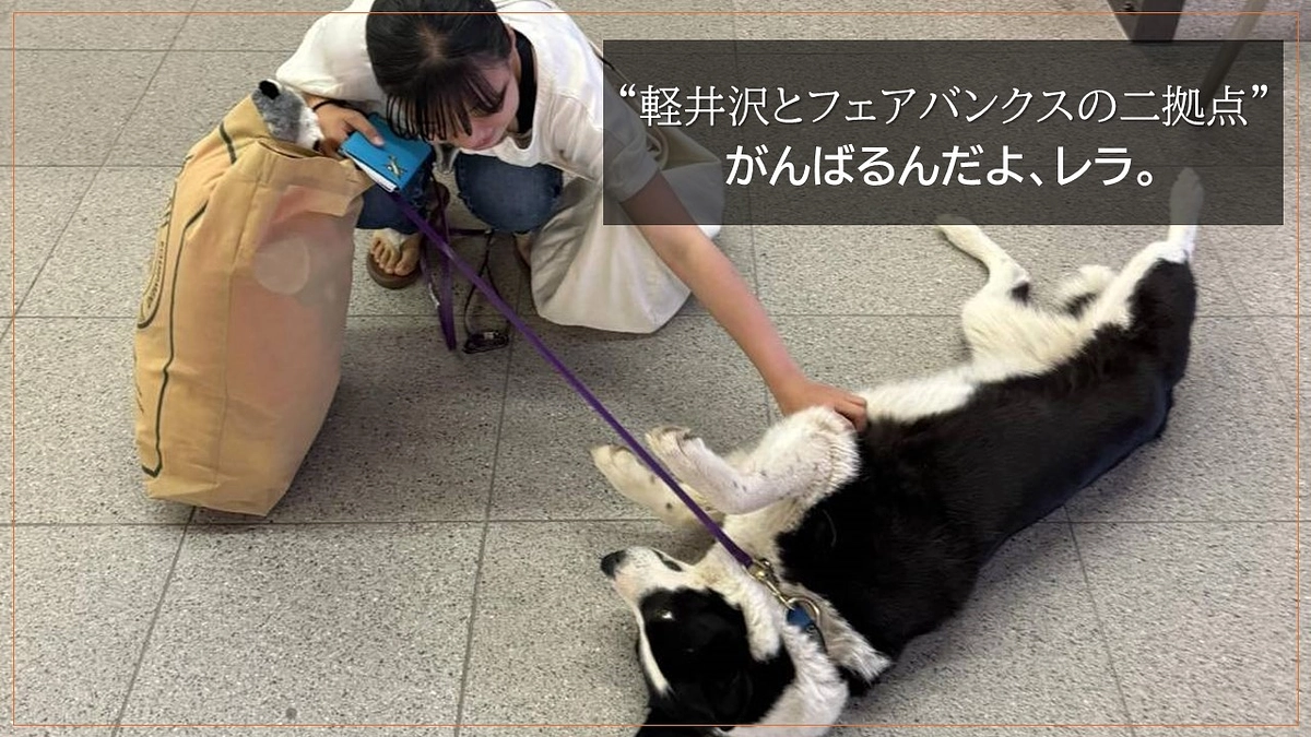 “軽井沢とフェアバンクスの二拠点” がんばるんだよ、レラ。