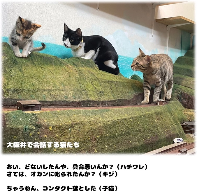 photoブック来週中に発送予定ですが、その前に皆様にチラ見せ