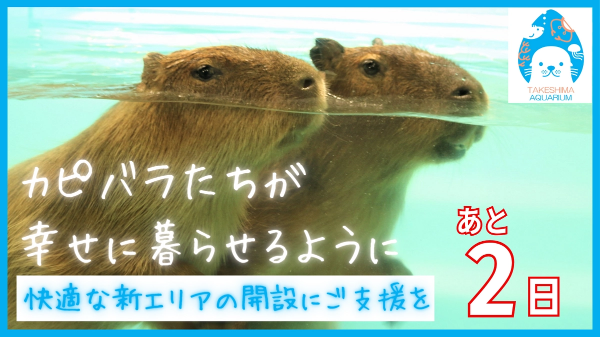 終了まであと2日！皆さまからの応援が励みになります！