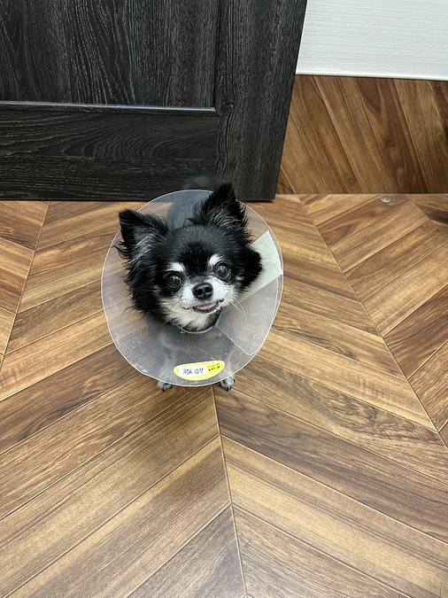 術後9日目の面会