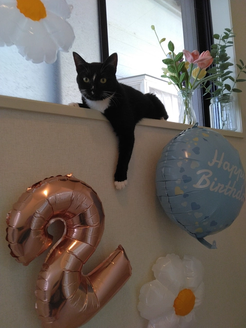 7/7はなちゃんの様子