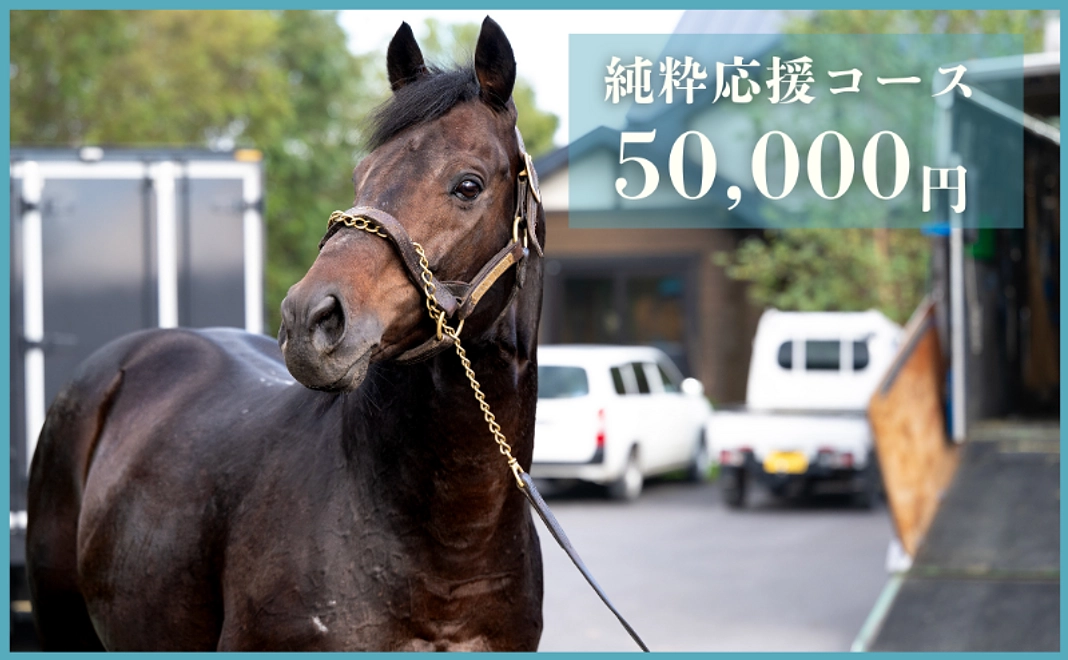 【返礼品不要な方向け】純粋応援コース｜50,000円