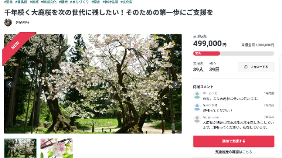 ご支援60万円を超えました。達成率40％